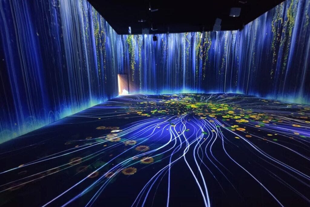 Interactive Floor and Wall Experiences