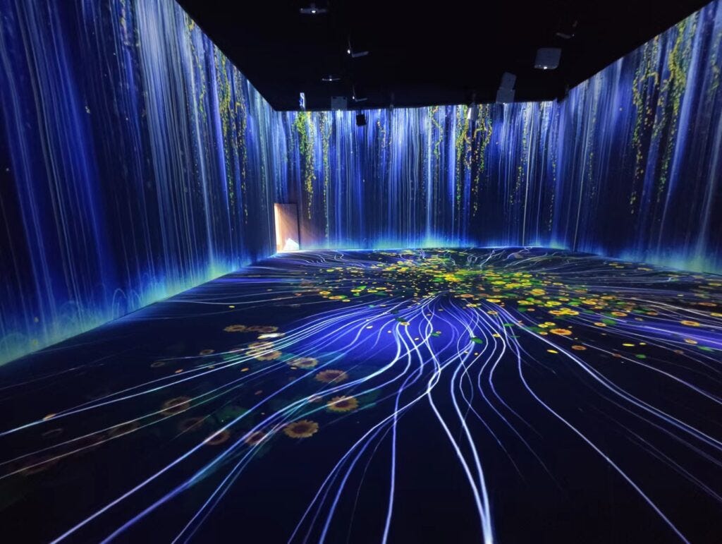 interactive immersive environment