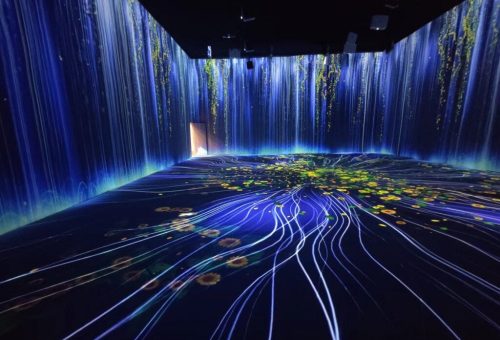 interactive immersive environment