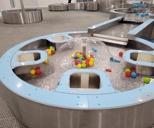 water table interactive