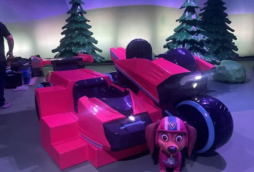 Group of colourful Paw Cars vehicles lined up for play