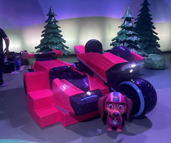 Group of colourful Paw Cars vehicles lined up for play