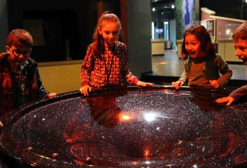 gravity trap exhibit