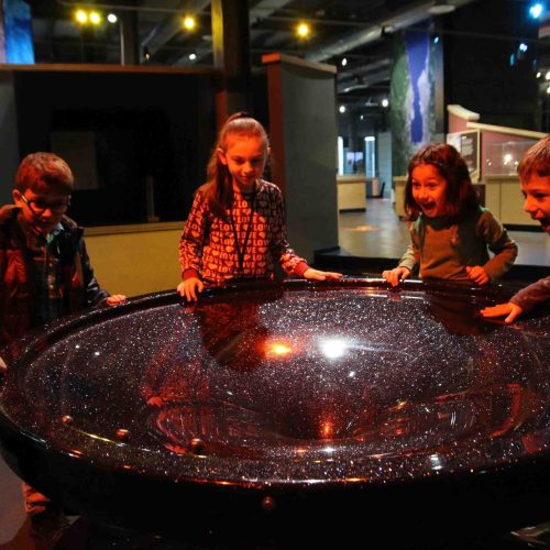 gravity trap exhibit
