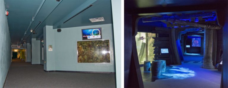 exhibit refurbishing