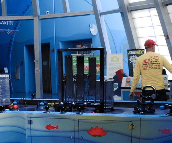 water exhibit