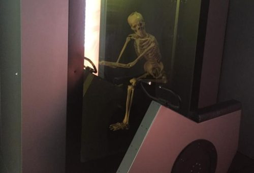 skeleton bike interactive